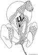 Spiderman - Hombre Ara&ntilde;a dibujo para colorear e imprimir